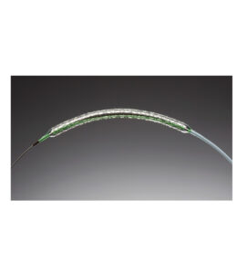 Coronary Drug Eluting Stent