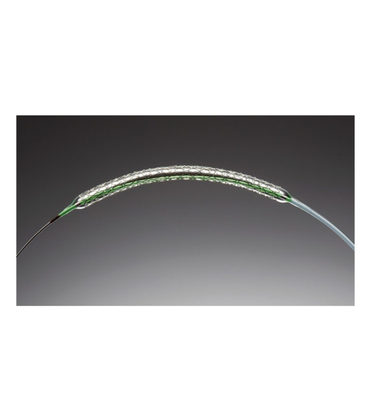 Coronary Drug Eluting Stent