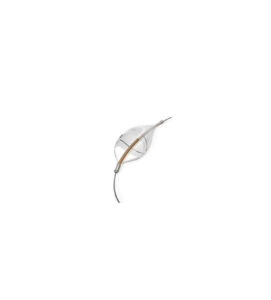 Embolic Protection Devices