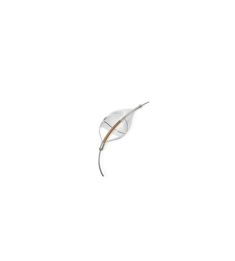 Embolic Protection Devices