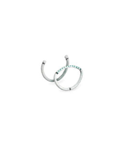Ring & Annuloplasty bands