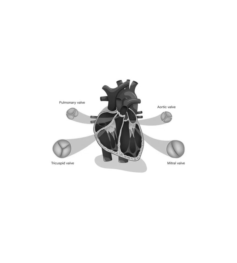 Specialised Valves