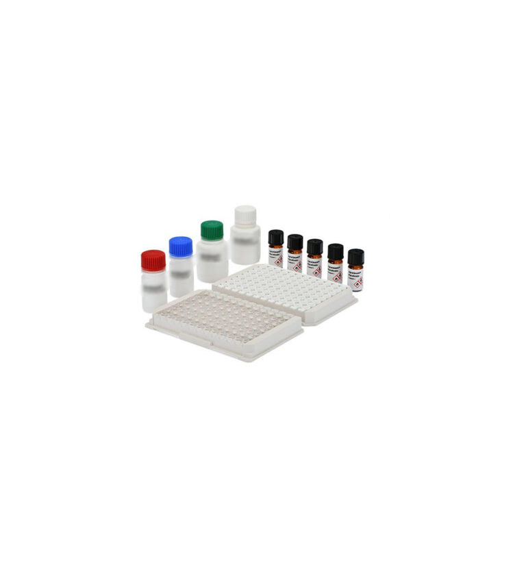 ELISA Kits